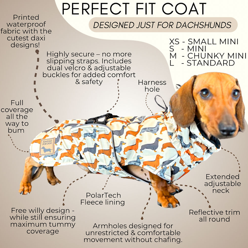 Thumbnail: Beige Sophisticated Sausage Waterproof Polartec Fleece Dachshund Dog Coat