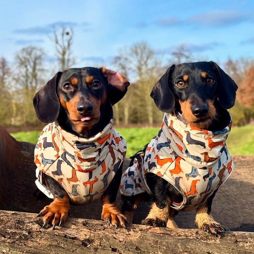 Fleece Dachshund Overalls Beige Sophisticated Sausage