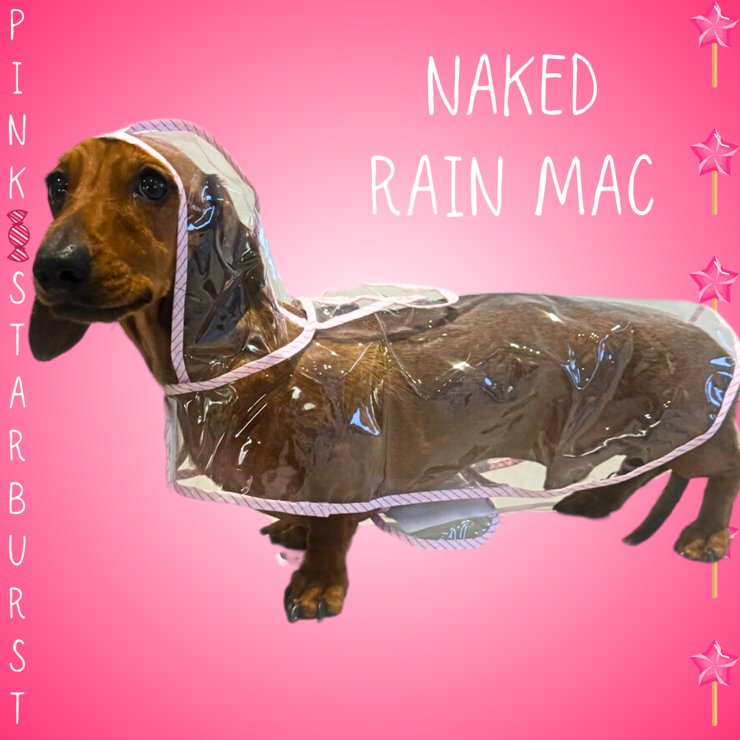 Pink Starburst Dachshund Naked Waterproof Rain Mac/Coat With Hood