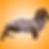Hot dog print wiener dog coat