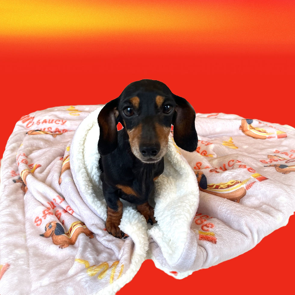 Прев'ю: Blanket - Saucy Sausage