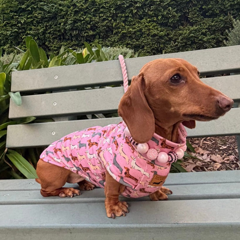 תמונה ממוזערת: Pink Sophisticated Sausage Long Dog Zipper Dachshund Fleece Jumper / Sweater