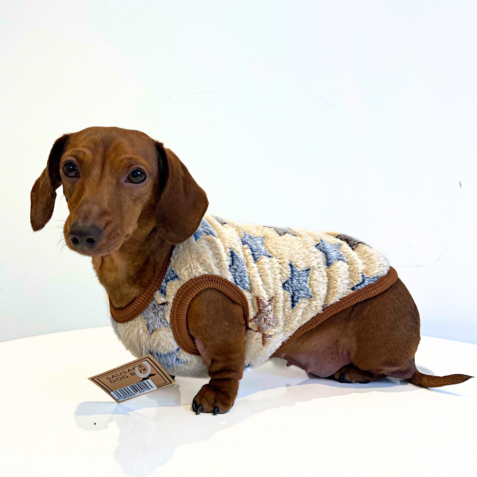 תמונה ממוזערת: Beige Twinkle Twinkle - Sausage Dog Box Dachshund PJ's/Jumper