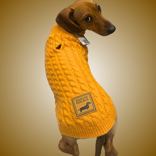 Dachshund Dog Pyjamas Kids Senya Cute Dachshunds In Heart Pajamas