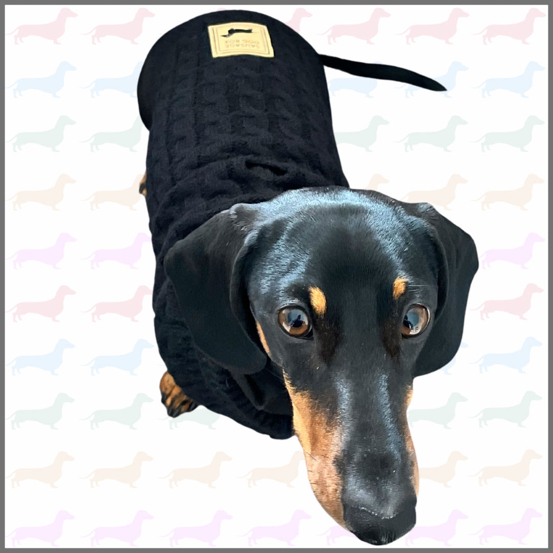 Jet Black Luxury Cable Knit Dachshund Jumper