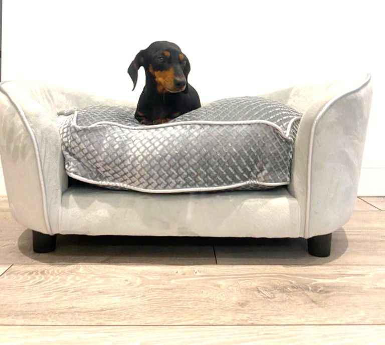 Miniatura: Sausage Dog Box Molly Sofa