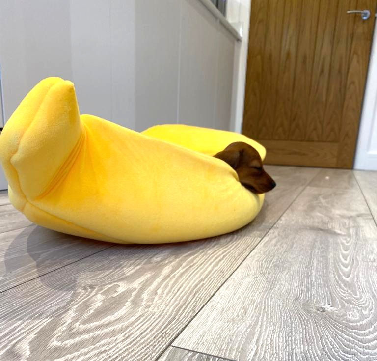 Thumbnail: Sausage Dog Box Banana Cave Bed - SMALL