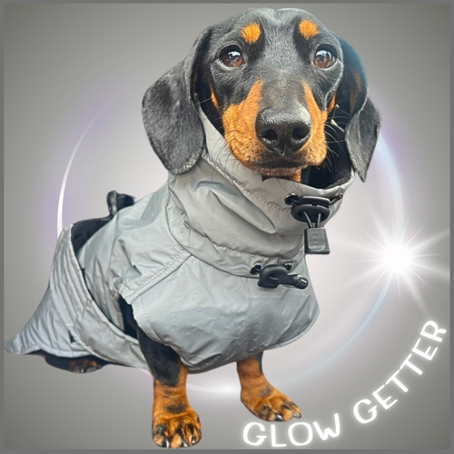 Sausage Dog Coat Glow Getter Reflective Light Up LED Dachshund Coat