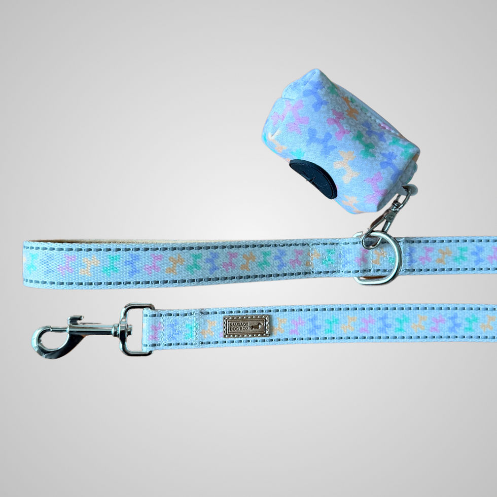 Thumbnail: Daisy Balloon Dog Dachshund Lead