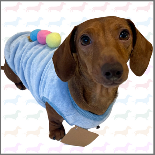 blue-ice-cream-sundae-sausage-dog-box-dachshund-pj-s-jumper-sausage