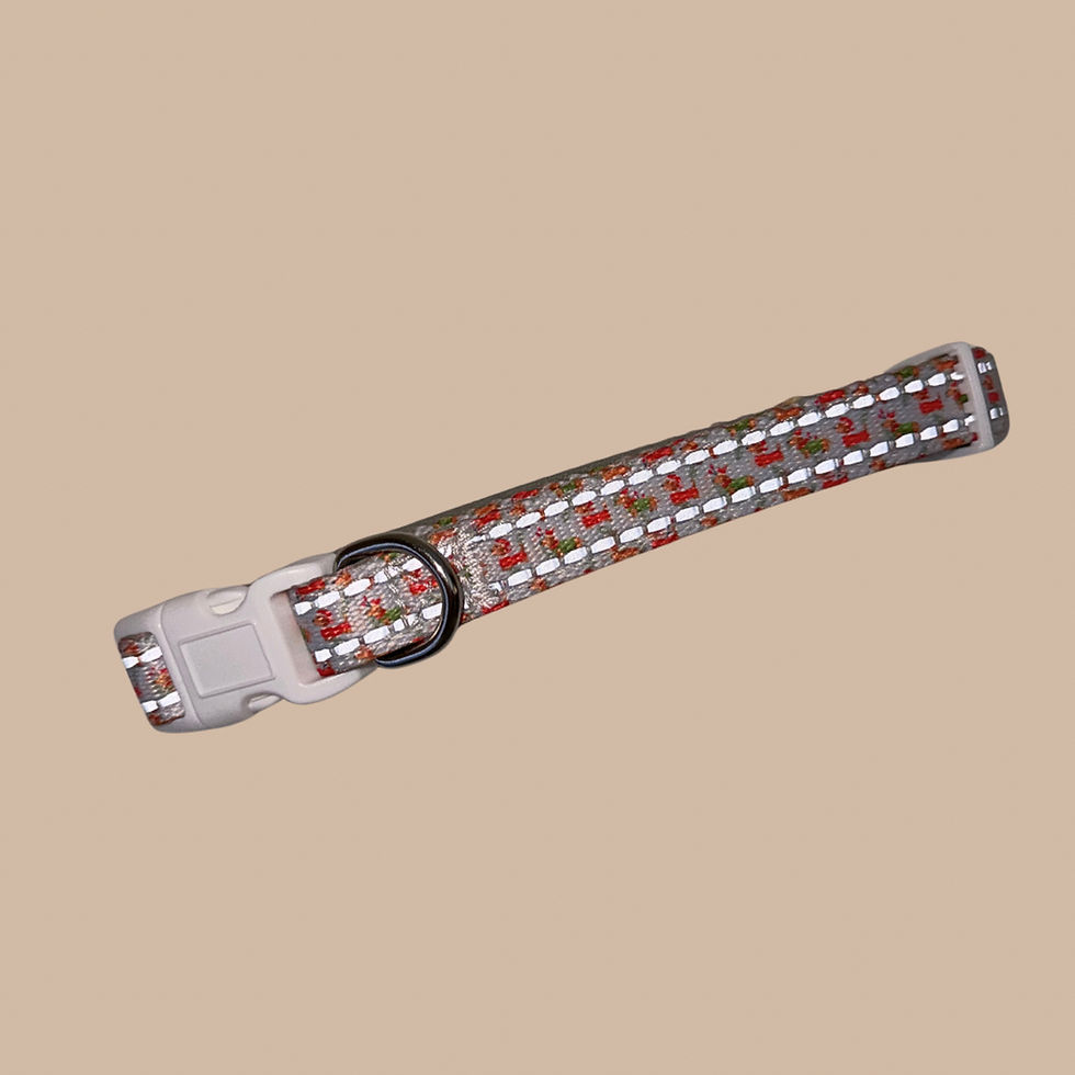 Minijatura: Frosty Sausages Dachshund Dog Collar