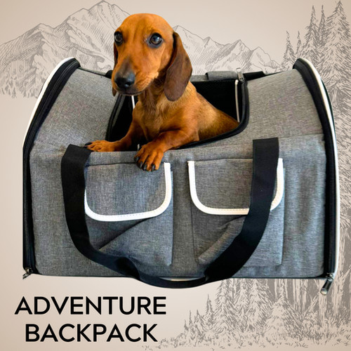 Sausage Dog Box Adventure Dachshund Backpack Carrier Airline