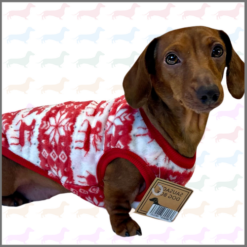 Red Oh Deer Sausage Dog Box Dachshund PJ's/Jumper Sausage Dog Box