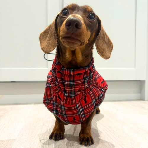 Sausage Dog Clothes Dog Coat For Miniature Dachshund Dachshund