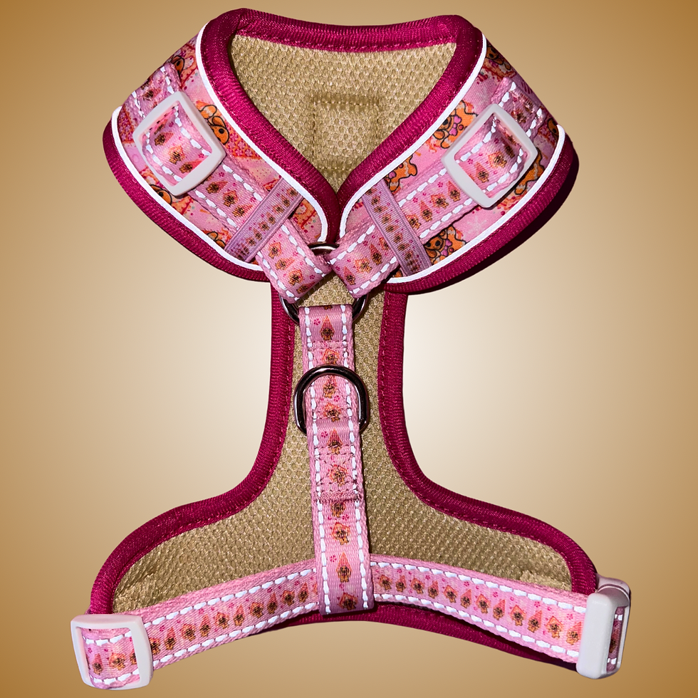 Thumbnail: Dachshund Harness