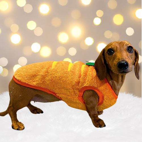 Miniature Dachshund Puppies Weiner Dog Pajamas Wiener Dog Clothes