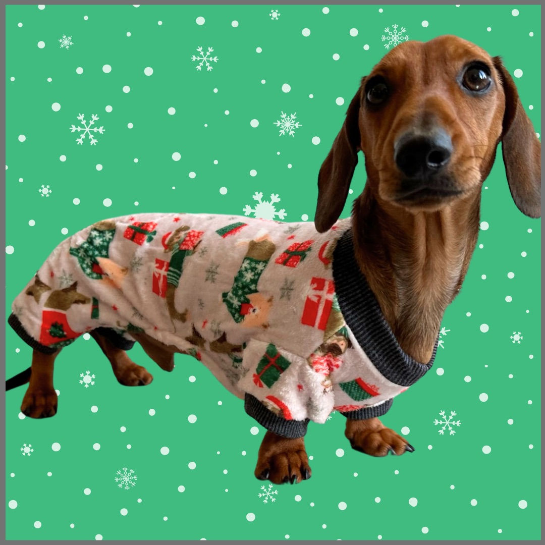 Happy Holidogs Dachshund Christmas PJ Outfit