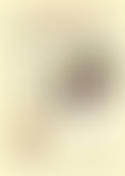 Charla: Descodificación Transgeneracional - 26 de Septiembre