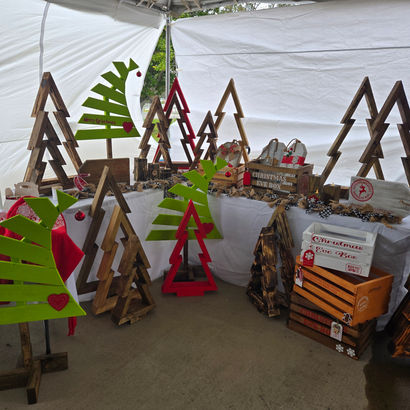 Operation Salvation help for vets