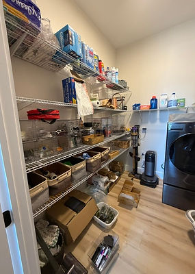 Laundry Room Before Lehigh Valley Room to Bloom.jpeg