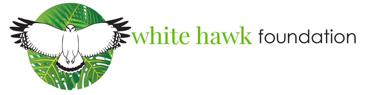 white hawk.png