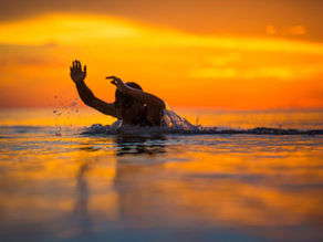 Swimming and Longevity: Why Time in the Water Adds Time to Your Life