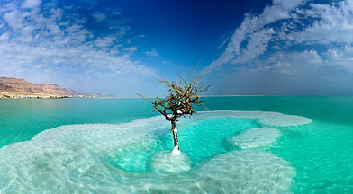 dead sea.jpg