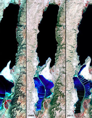 dead sea 1.jpg