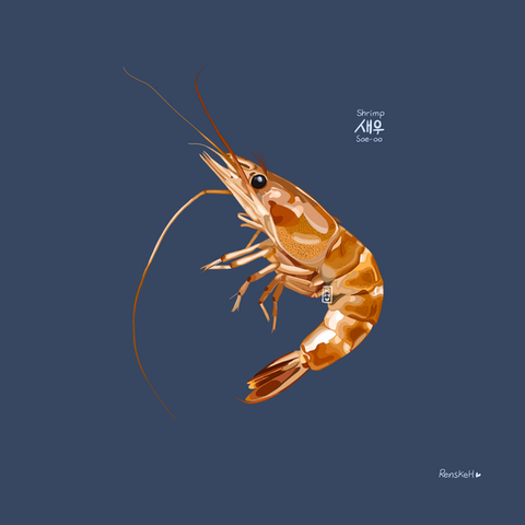 Shrimp