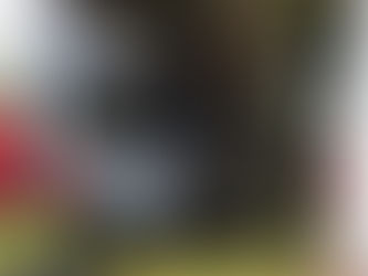 (W) Fahrzeugbrand verursachte große Rauchsäule