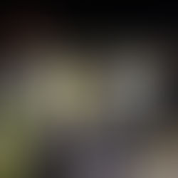 (RS) Laubenbrand in Remscheid