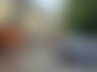 (SG) Feuerwehr nach Sturmtief Walter im Einsatz