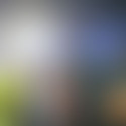 (SG) Crash unter Alkoholeinfluss - PKW überschlagen in Solingen