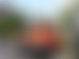 (SG) Gleich zwei Gebäudebrände am Mittag
