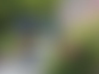 (SG) Bei Hunderunde mit Pfefferspray verletzt