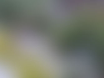 (W) Unrat brannte an Bahntrasse in Wuppertal