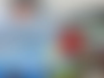 (SG) Festnahme nach Verkehrskontrolle in Solingen - Fahrerin flüchtete zunächst