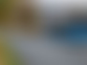 (W) Massenanfall von Verletzten nach Crash mit Linienbus