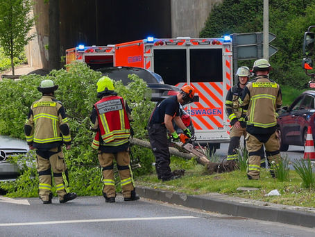 (SG) Baum bei Crash gefällt
