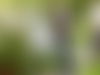 (W) Schüsse in Wohngebiet? Polizei im Großeinsatz!