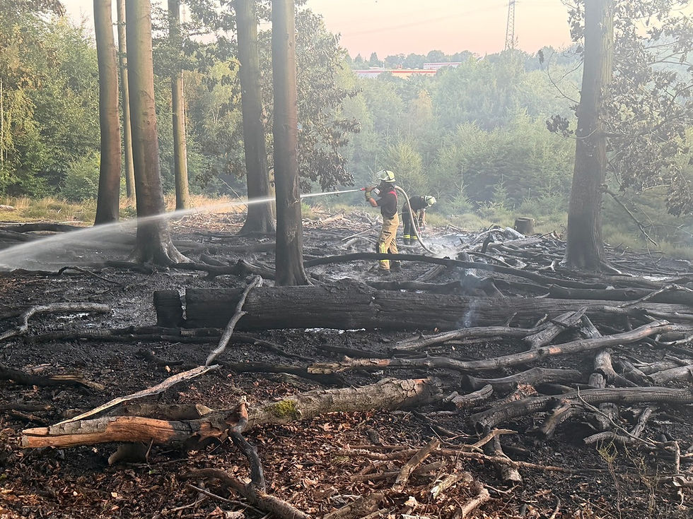 (RS) Waldbrand sorgt für zahlreiche Notrufe