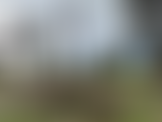 (W) Tödlicher Arbeitsunfall auf Wuppertaler Friedhof