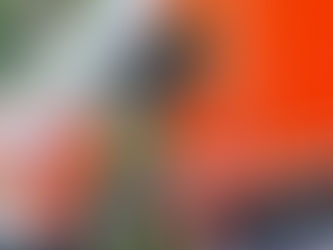 (SG) Schwerverletzter Schwalbe-Fahrer in Aufderhöhe