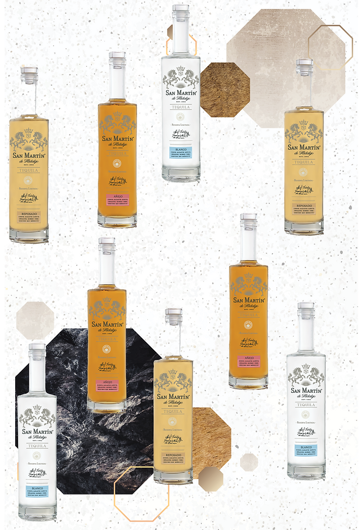 shopsanmartintequila2.png