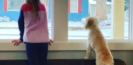 Lacey Frankie J SP21 Miami nka Mocha now owned by Amber in WA - grown up (1).jpeg