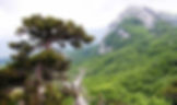 PARCO-NAZIONALE-POLLINO-1111111111111111111111.jpg