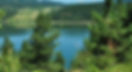 parco-nazionale-della-sila-735x400.jpg