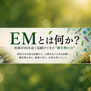 改めて、EMとは何か?シリーズ第2弾を公開しました。