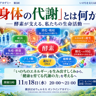 横浜EMウェルネス 今後のイベント・講座のご案内