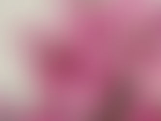 Highlight Video of Chinese New Year (2026)